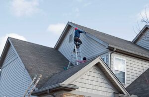 Person using a soft roof rake from the ground to clear leaves from a sloped roof.